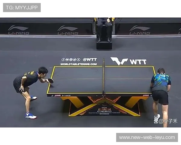 季后赛“黑马”队伍崛起，逆袭之路令人振奋！